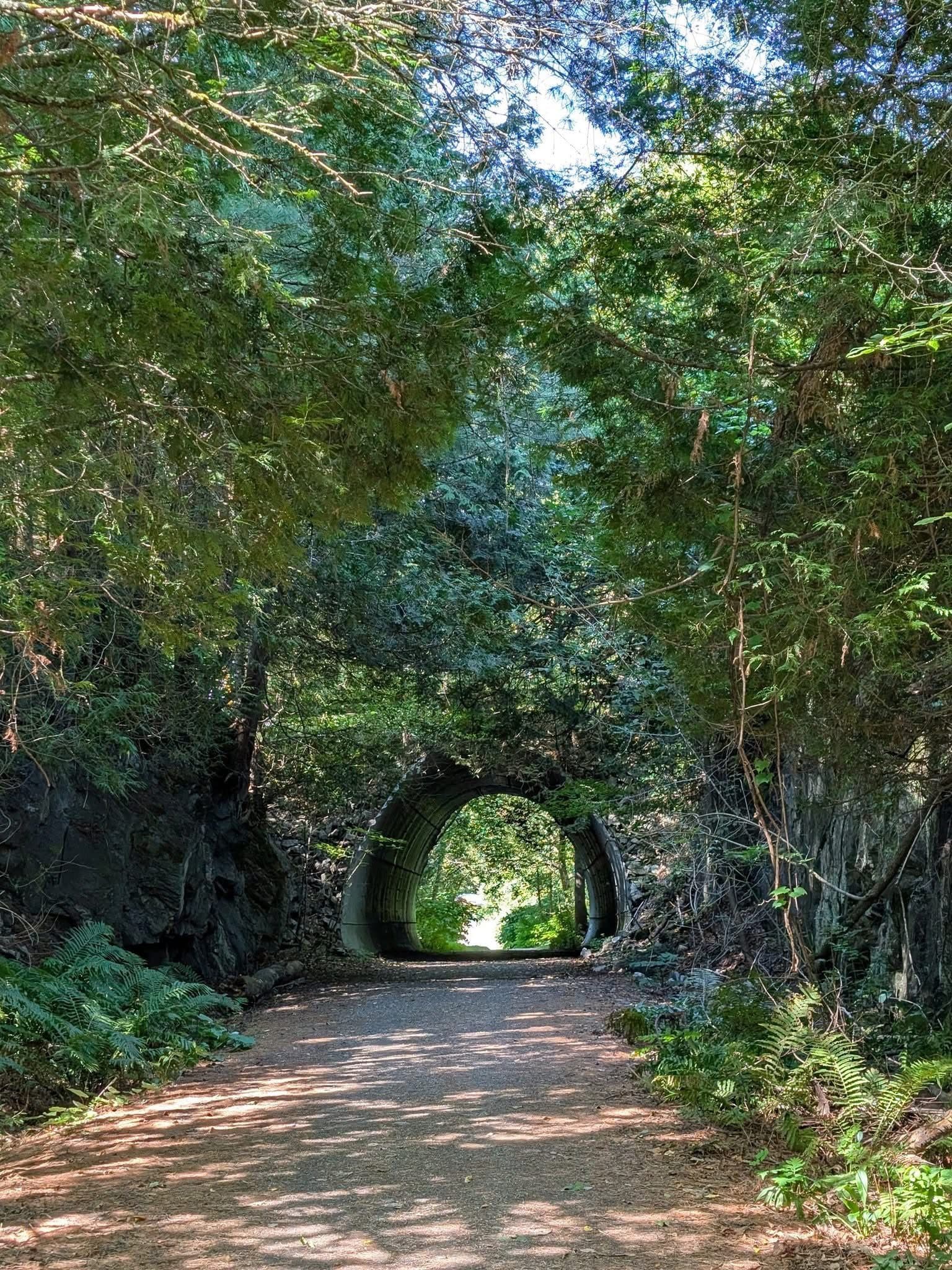 Sentier qui passe sous une arche de verdure